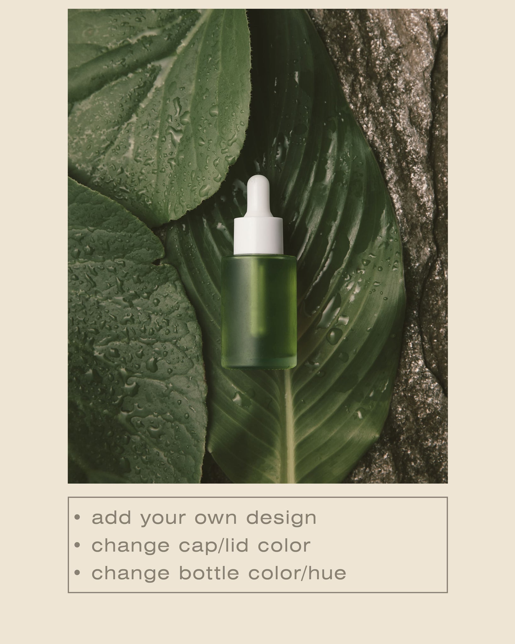 Frosted Glass Dropper Bottle Mockup No. 15 - Copal Studio Packaging Mockups For Designers