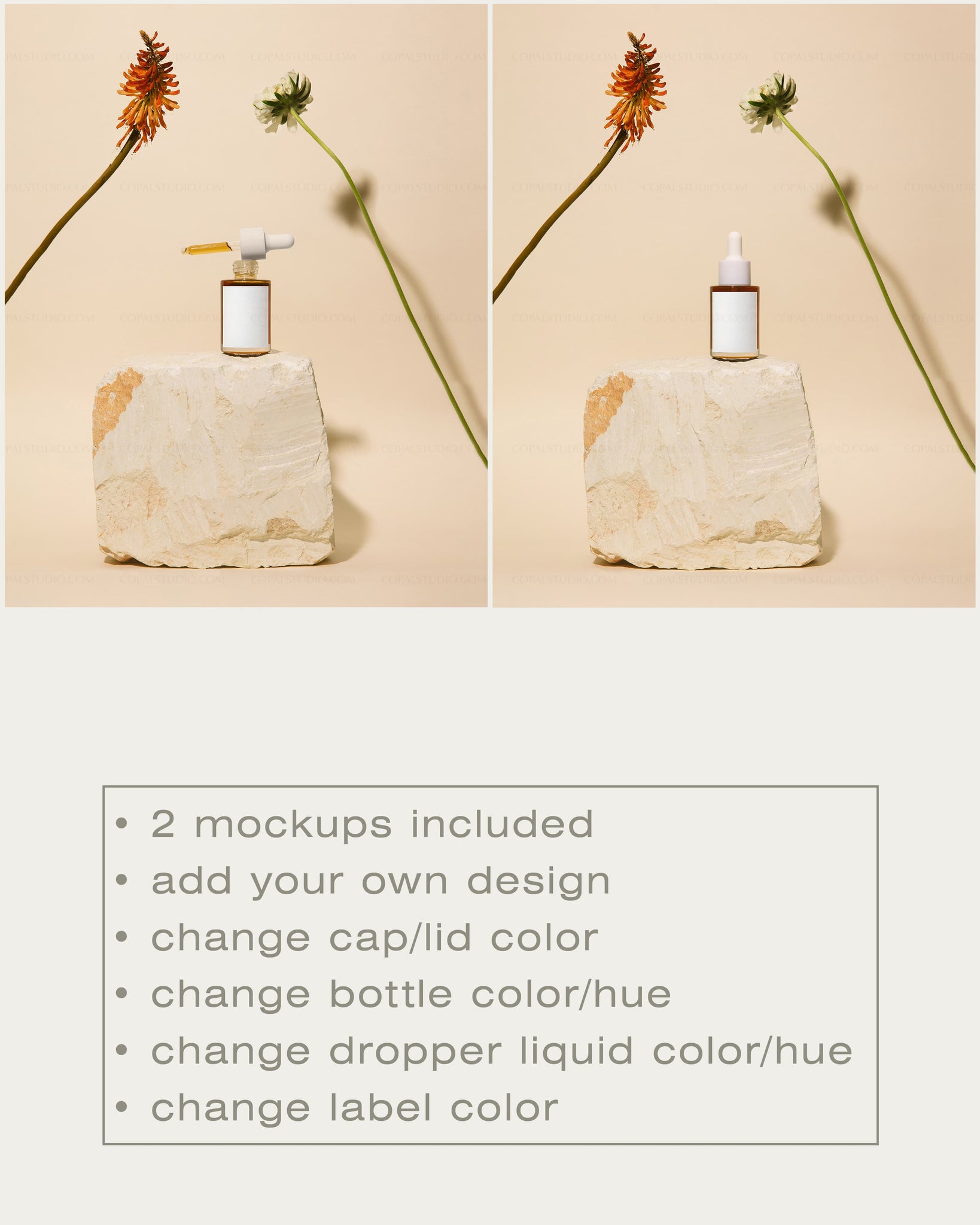 Glass Dropper Bottle Mockup No. 12 - Copal Studio Packaging Mockups For Designers
