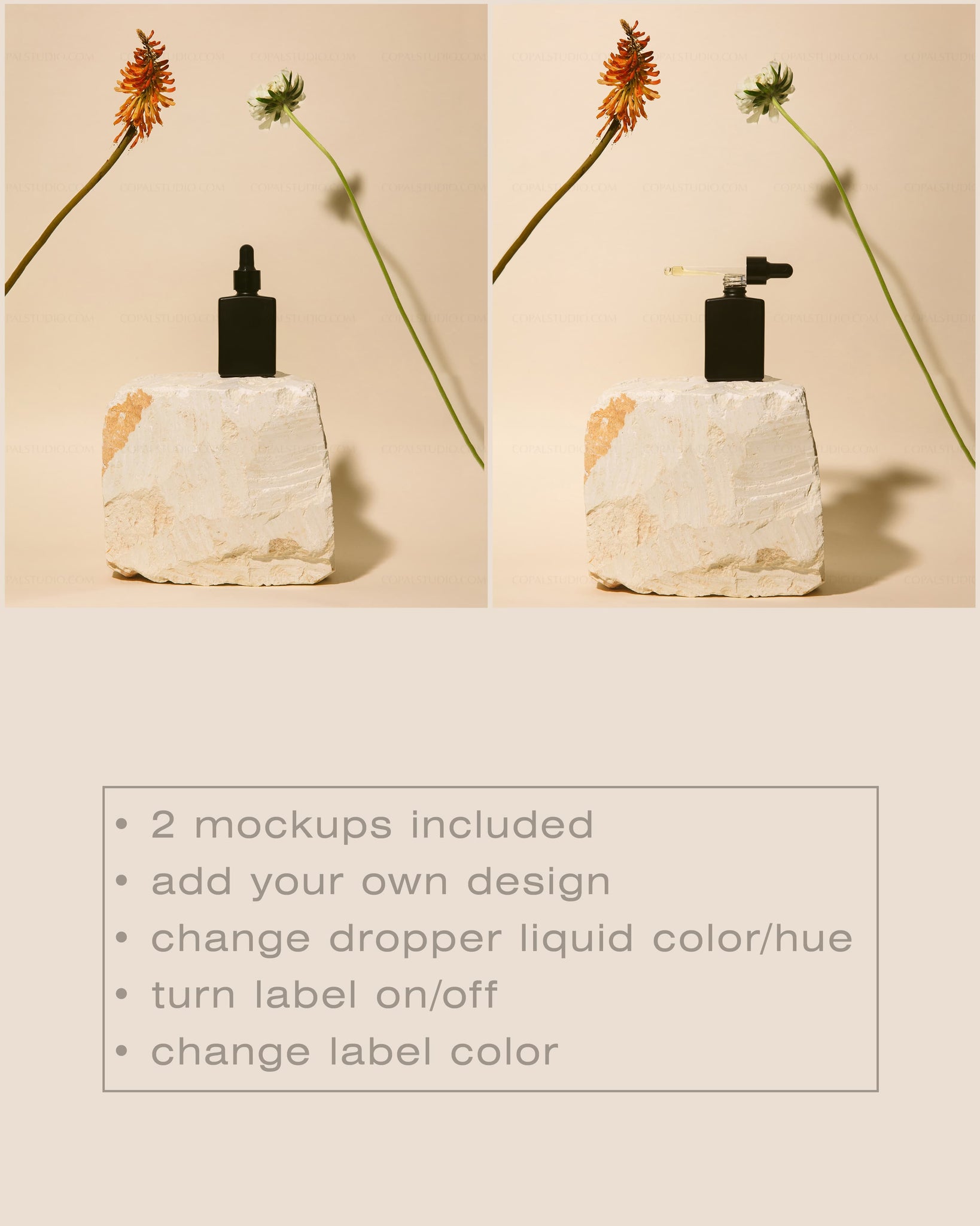 Square Black Dropper Bottle Mockup No. 12 - Copal Studio Packaging Mockups For Designers