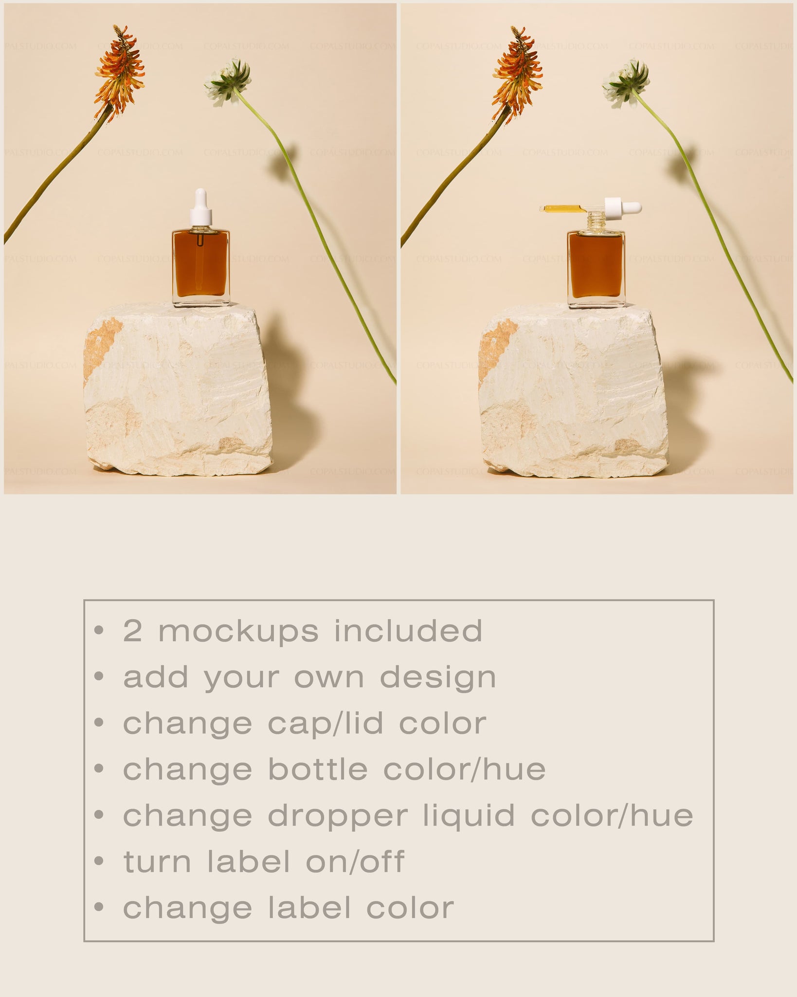 Square Glass Dropper Bottle Mockup No. 12 - Copal Studio Packaging Mockups For Designers