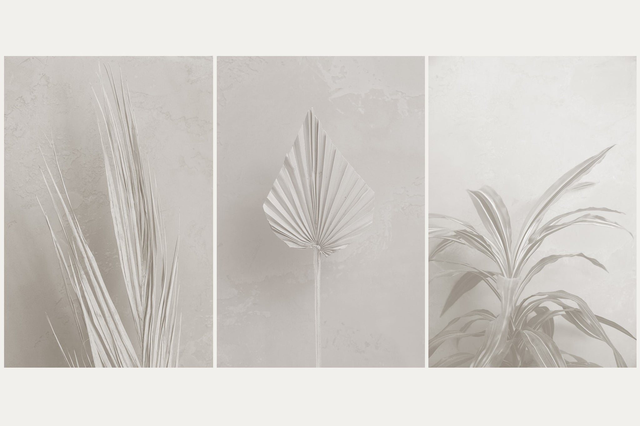 Tropics - Botanical Stock Photos - Copal Studio Packaging Mockups For Designers