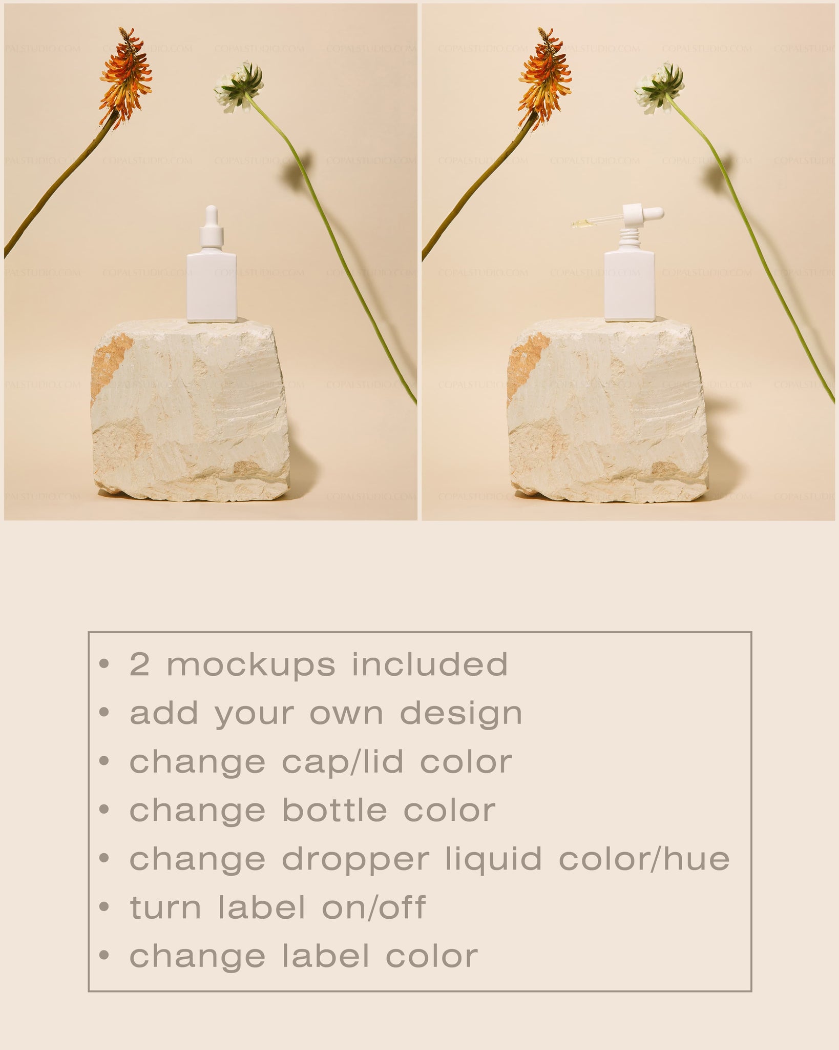 Square Dropper Bottle Mockup No. 12 - Copal Studio Packaging Mockups For Designers