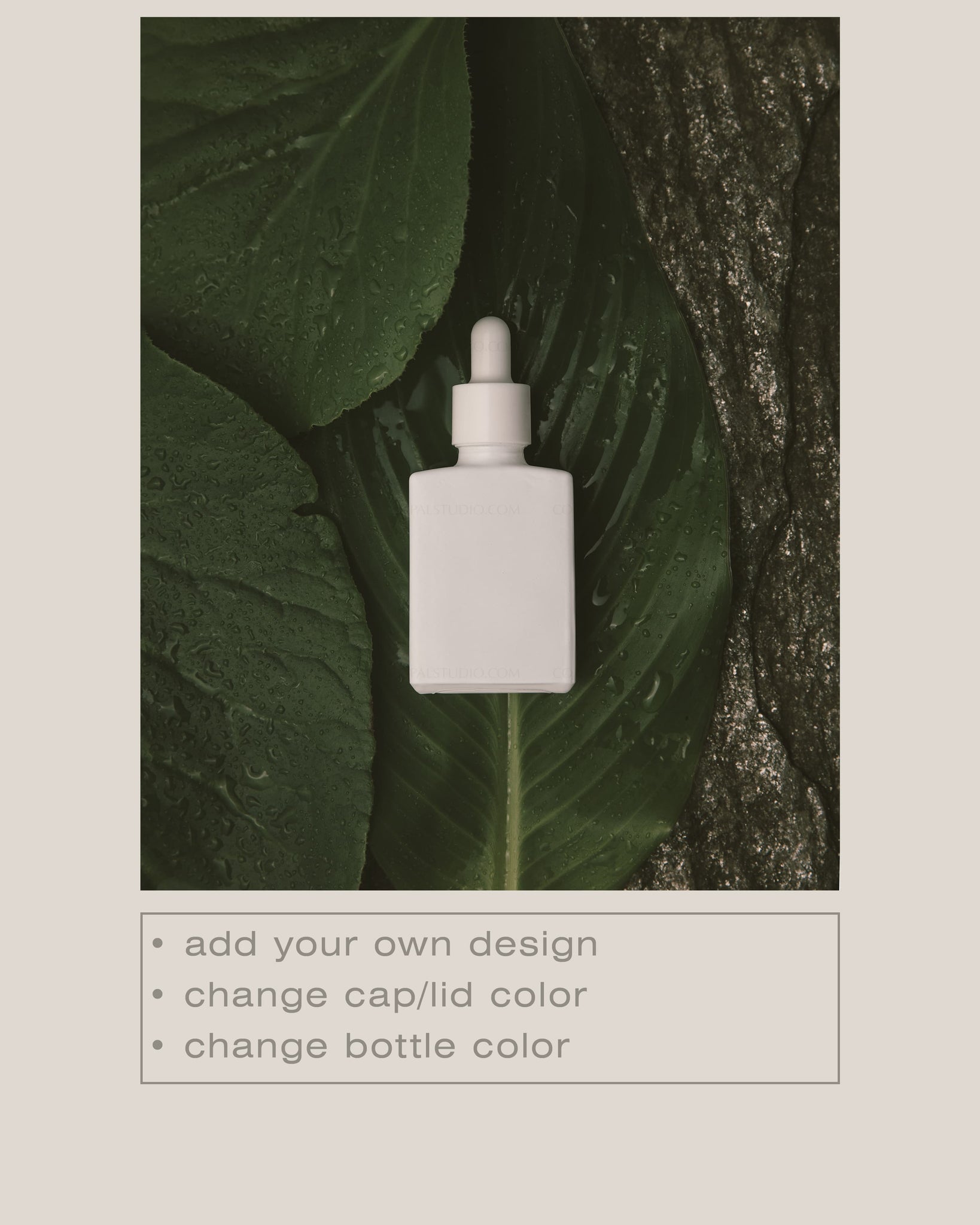 Square Dropper Bottle Mockup No. 15 - Copal Studio Packaging Mockups For Designers